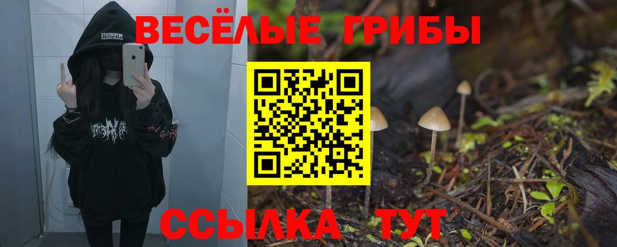 Галлюциногенные грибы Psilocybe  Галлюциногенные грибы GOLDEN TEACHER  Тосно  Вход с VPN 